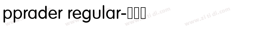 pprader regular字体转换 pprader regular字体转换
